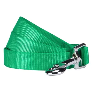 Classic Solid Color Dog Leash, Green/Yellow